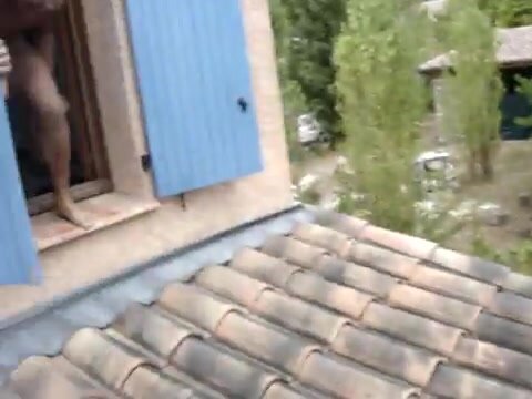 str8 french guys naked in pool