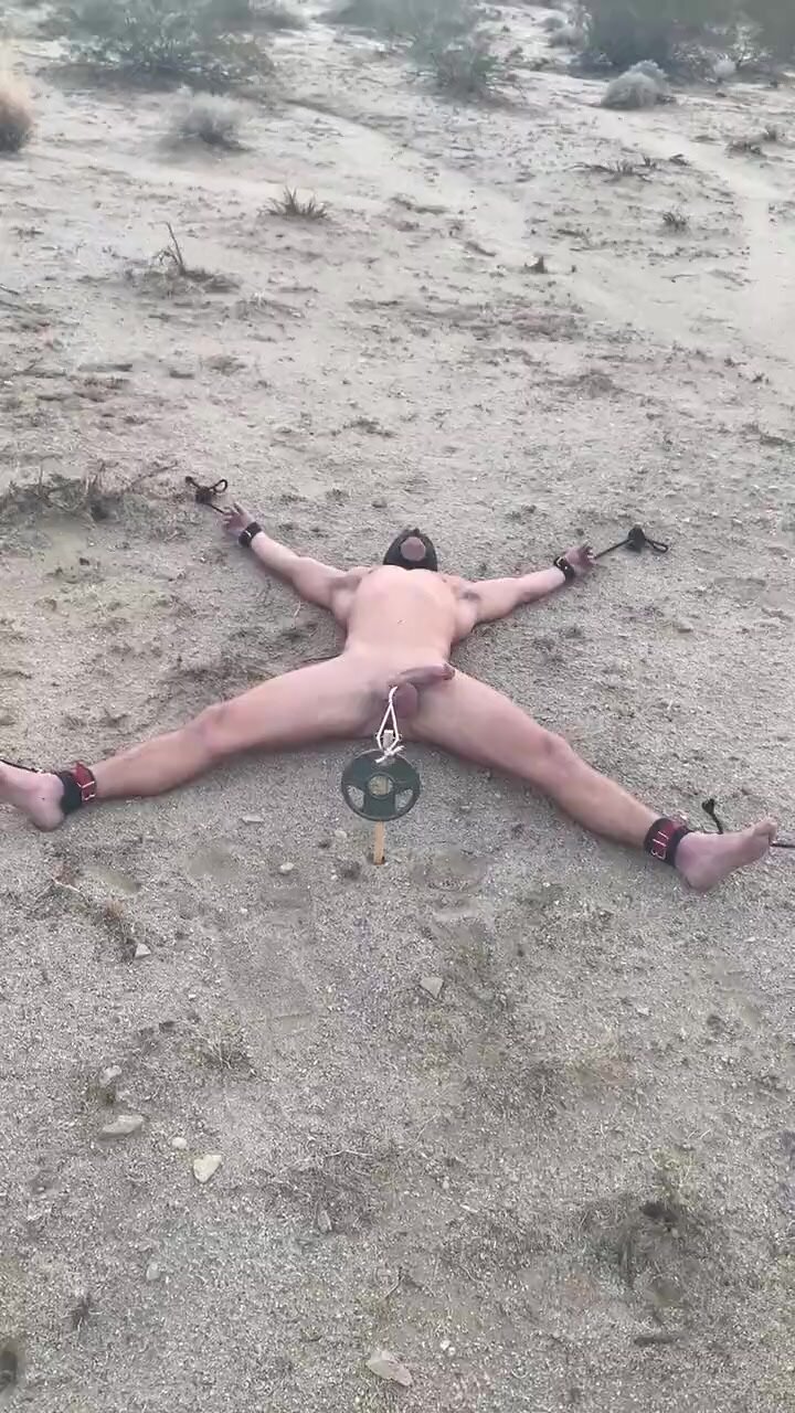 Men Bound And Gagged Staked Out In The Desert