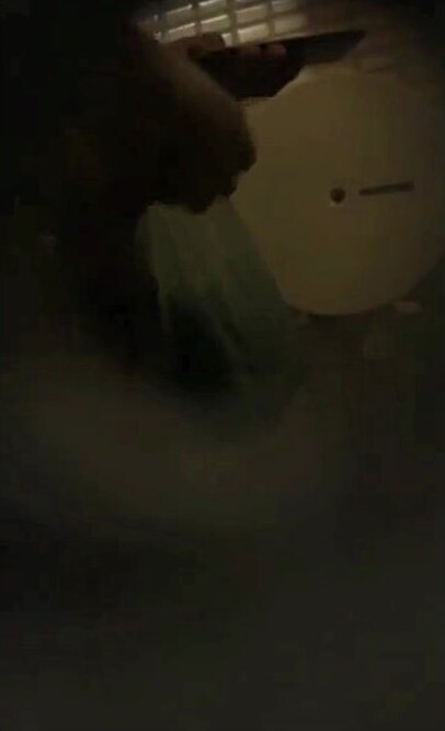 Toilet Spy I