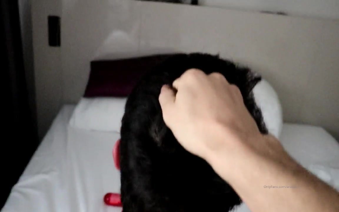 Arab (French verbal) cam 6