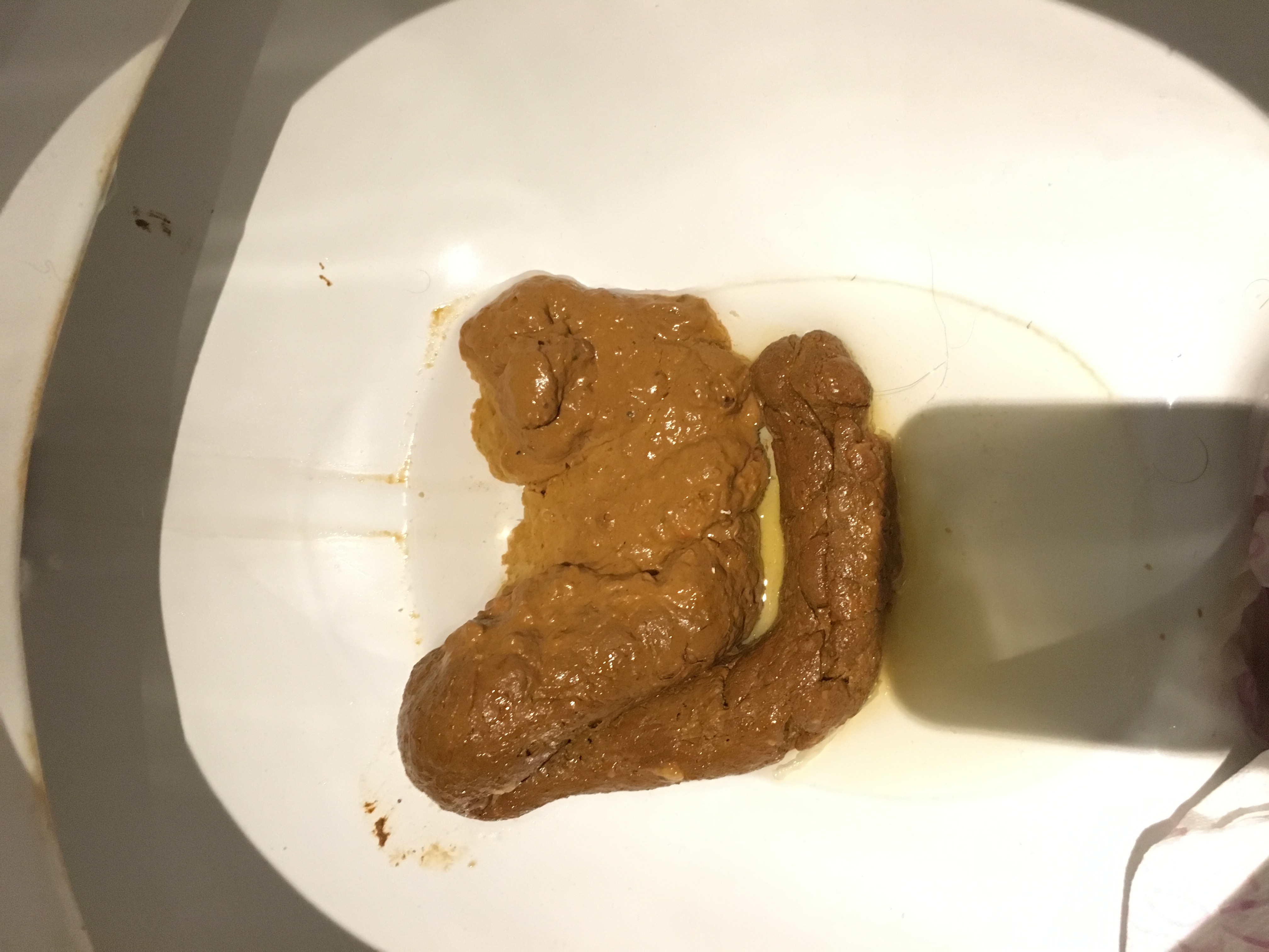 shitting for 3 day's at home 05212018