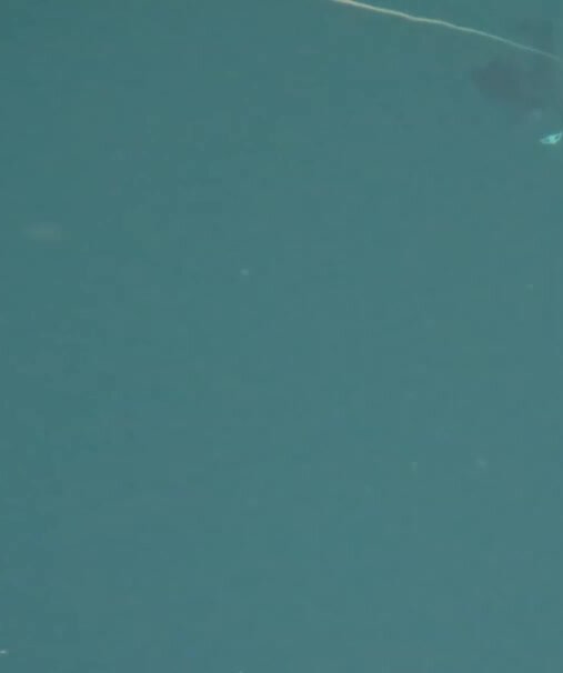 Freediver breathhold