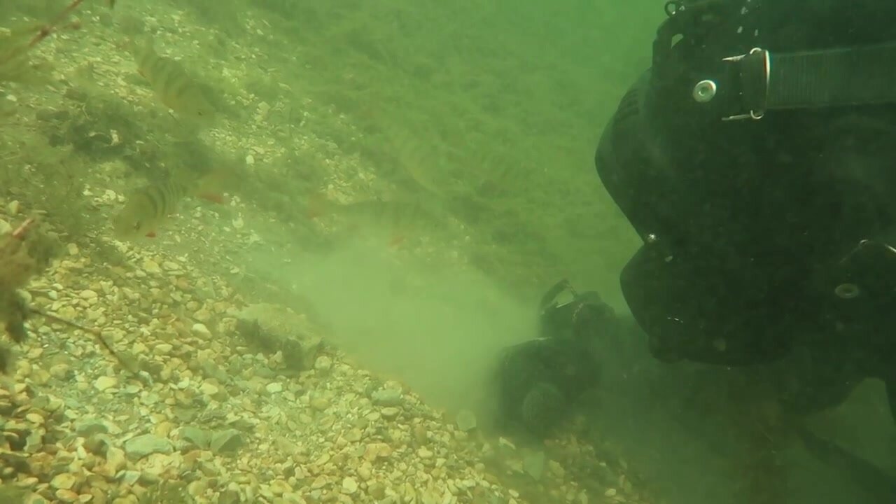 Exo diver