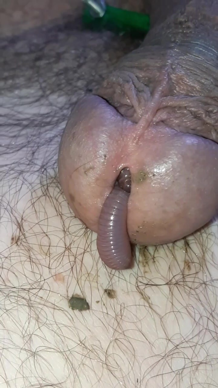 Big worm visit my cock