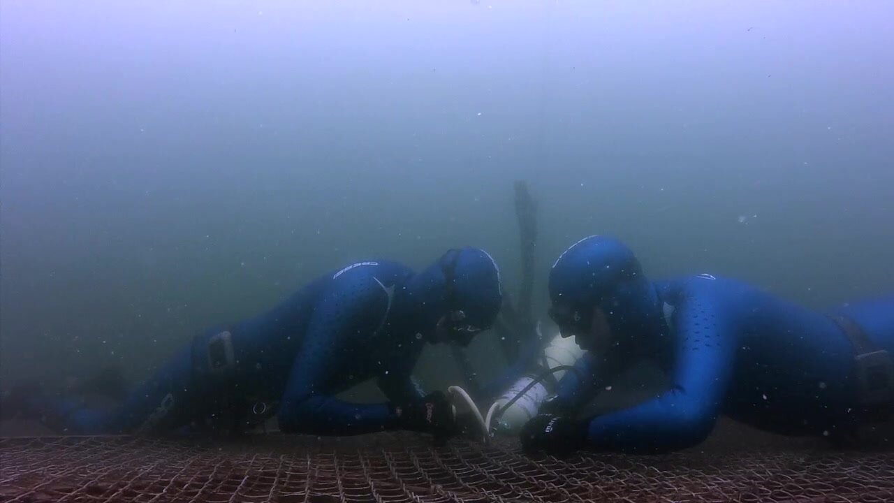 Matching freedivers