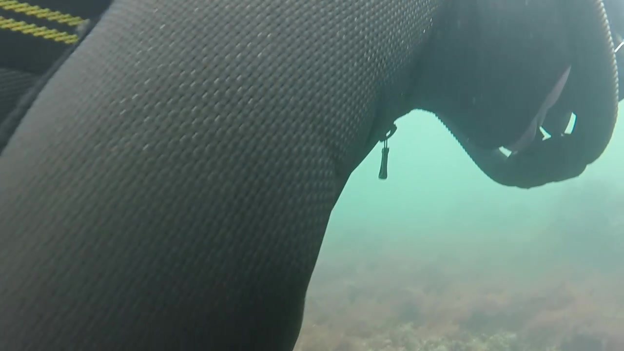 Vintage dive