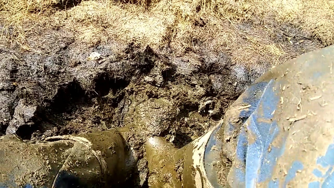 Great shitty mud