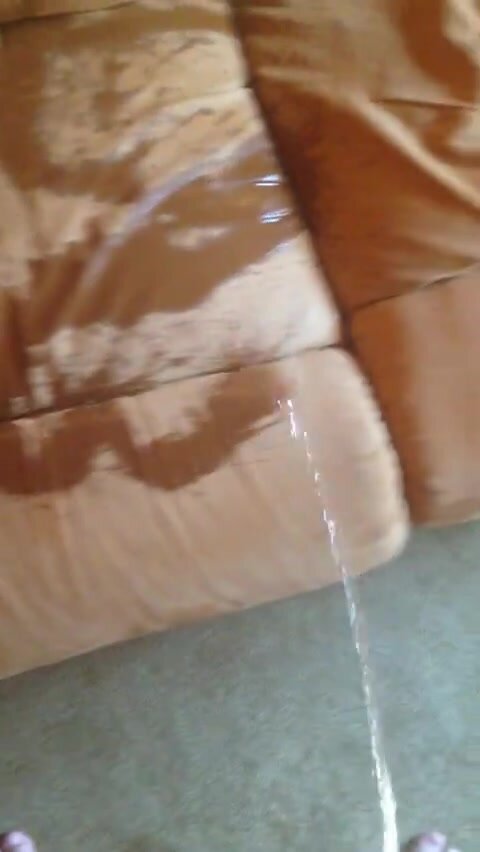 Couch piss - video 3