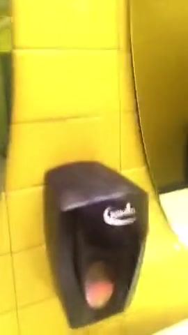 Fucking in a public toilet