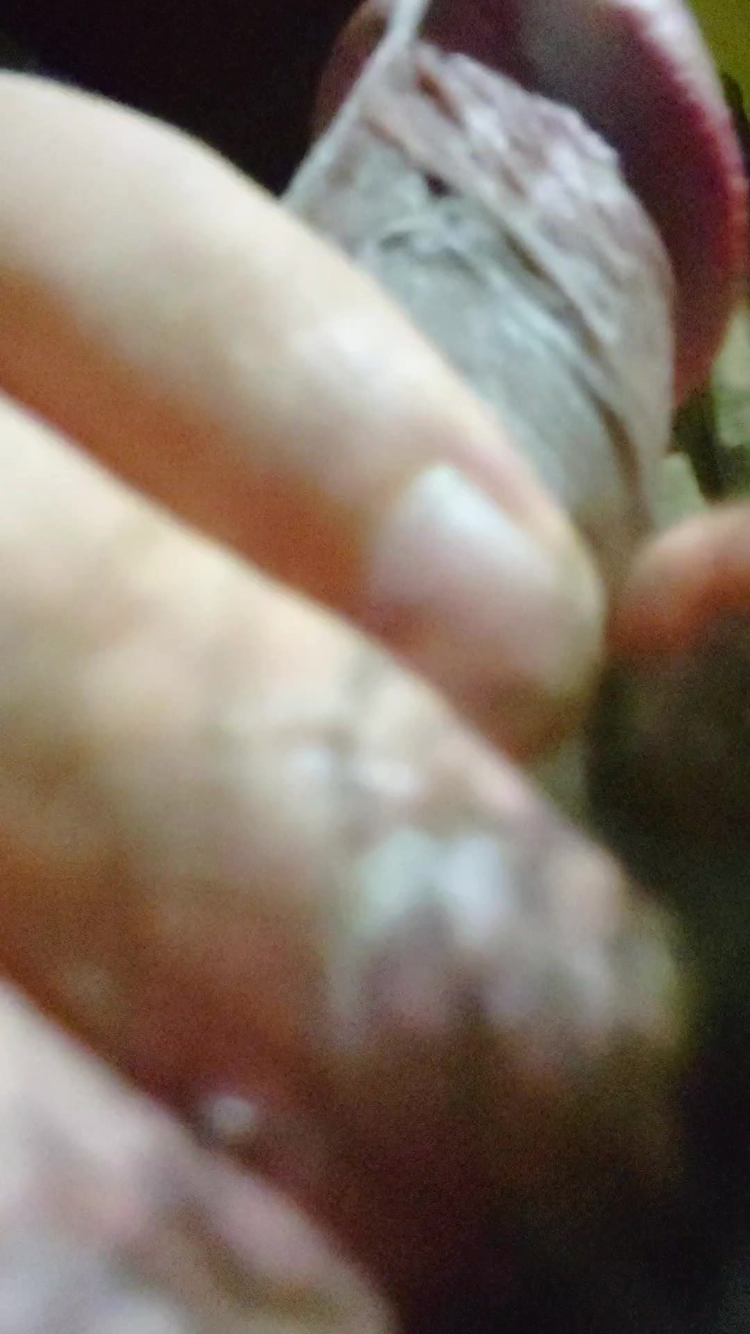 test1 - video 9