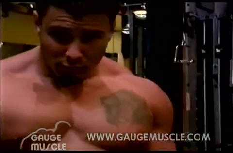 Gym Muscle Stud 2