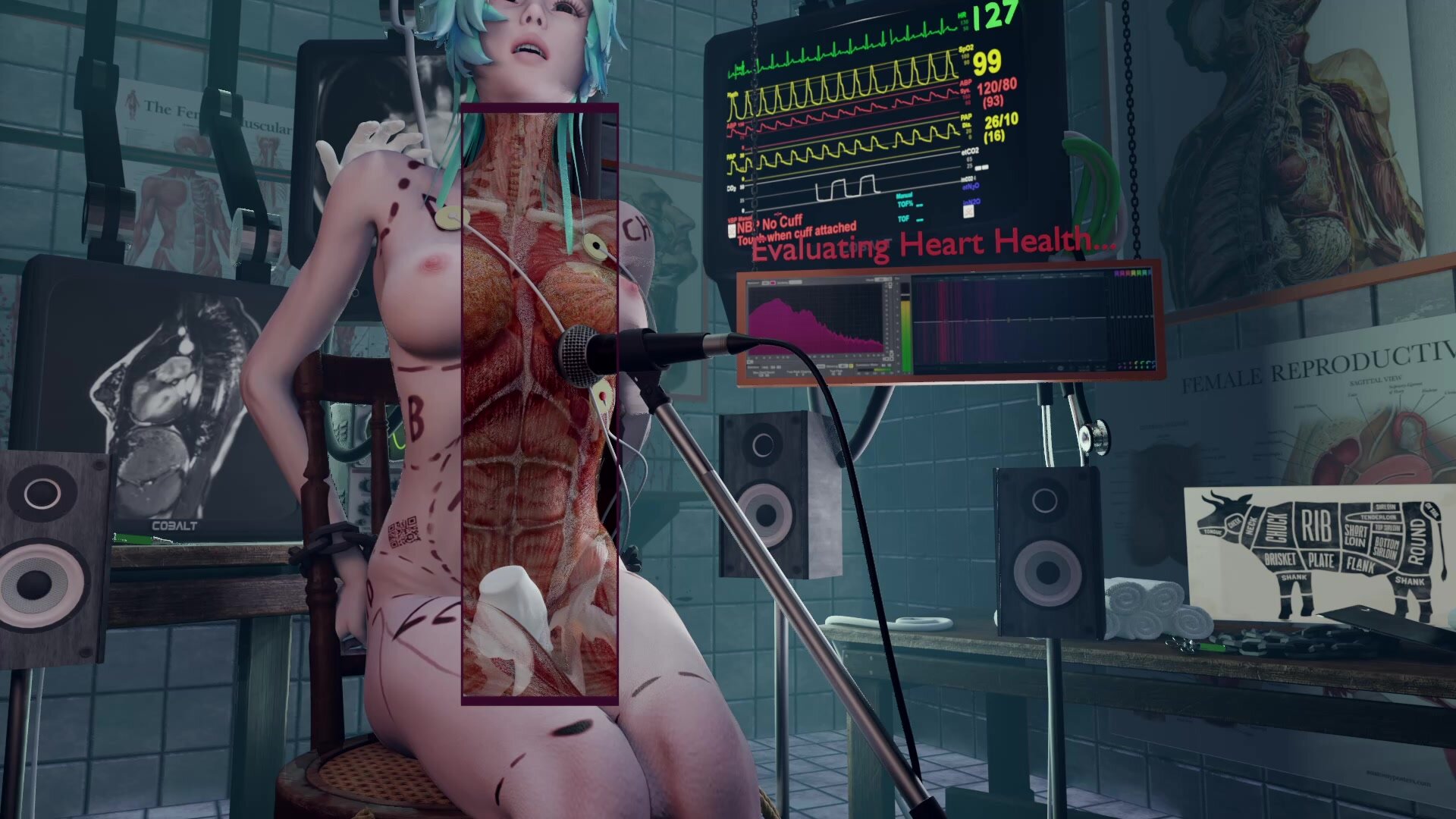 Hot Anal Porn Anatomy - Heartbeat Animations and Edits: Transparentâ€¦ ThisVid.com