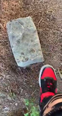 Girl stomps bug on a rock