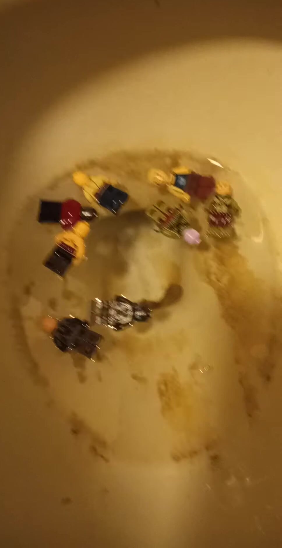 Legos Flushed Down The Toilet