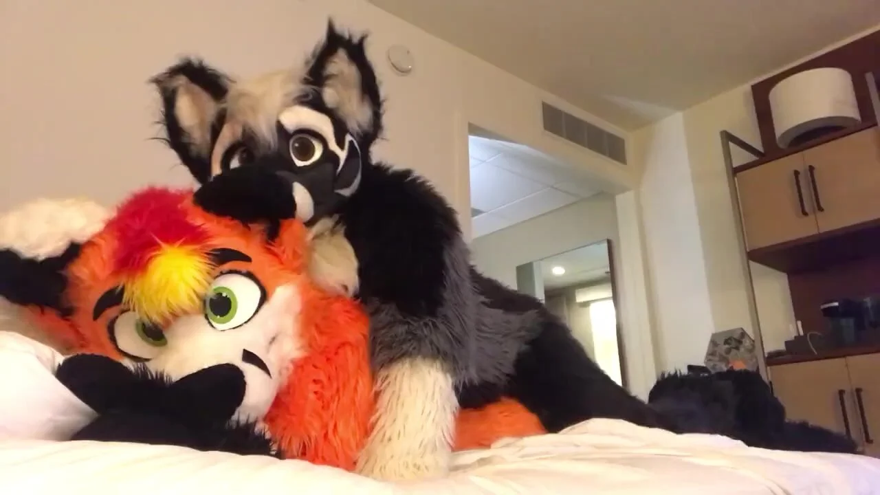 Fursuit sex - video 13 - ThisVid.com em inglês