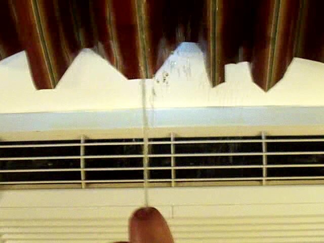 Pissing on hotel curtains and inside heater