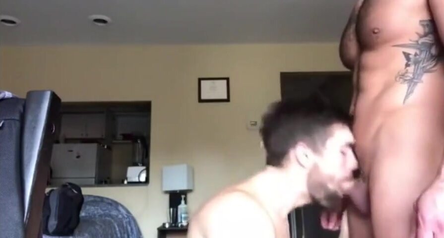 feeding time - video 3