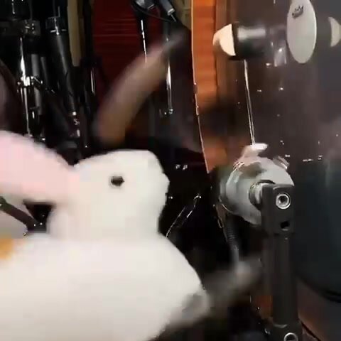 Playing drums with my bunny slipper