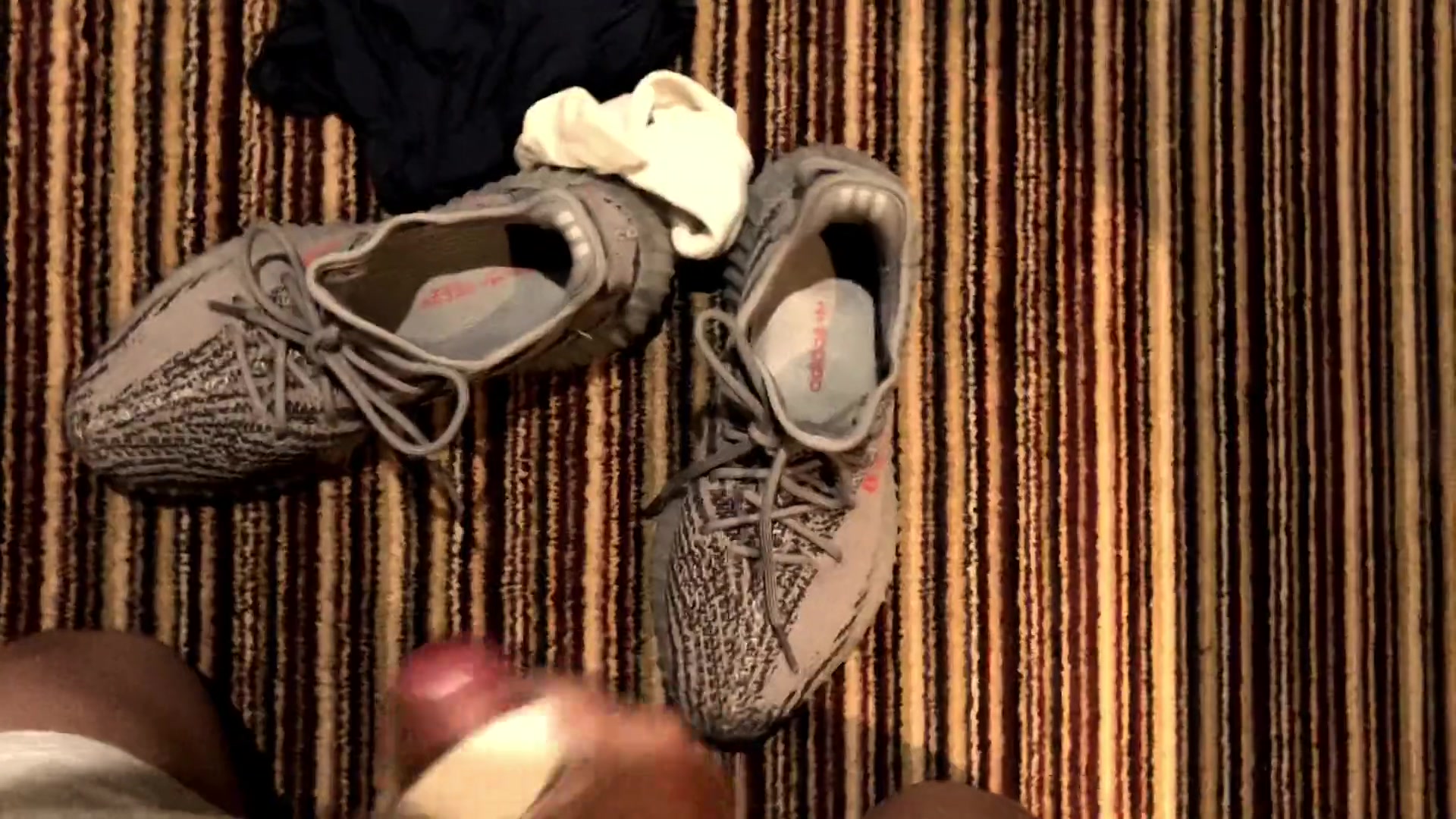 yeezy zebra