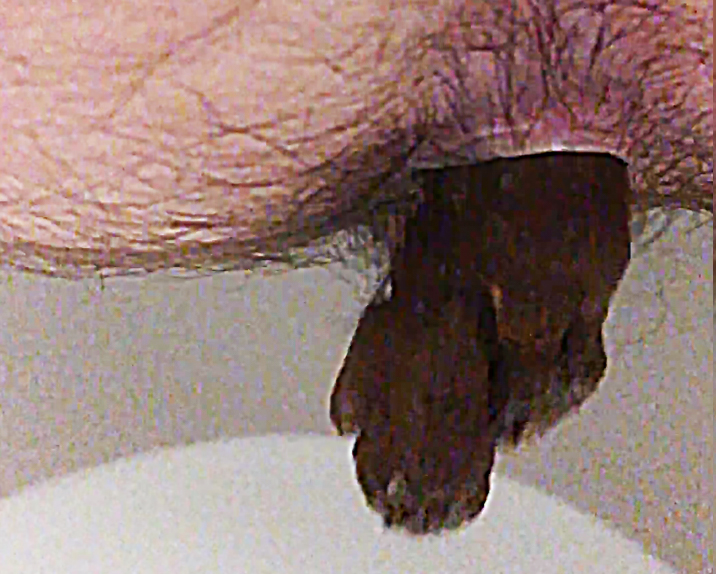 SHITTING IN THE TOILET #2