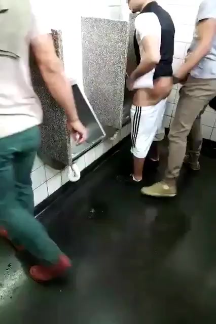 quick fuck in a public toilet