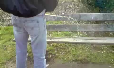 Pissing on a bench seat