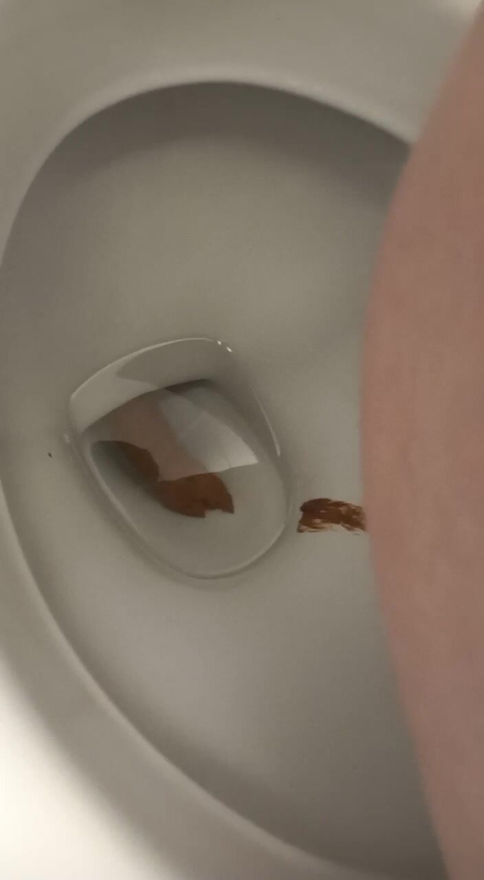 Saturday Morning Shit In Public Toilet