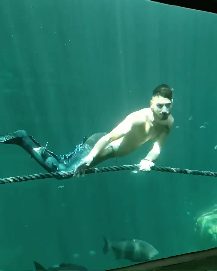 Underwater shaved pits barefaced merman