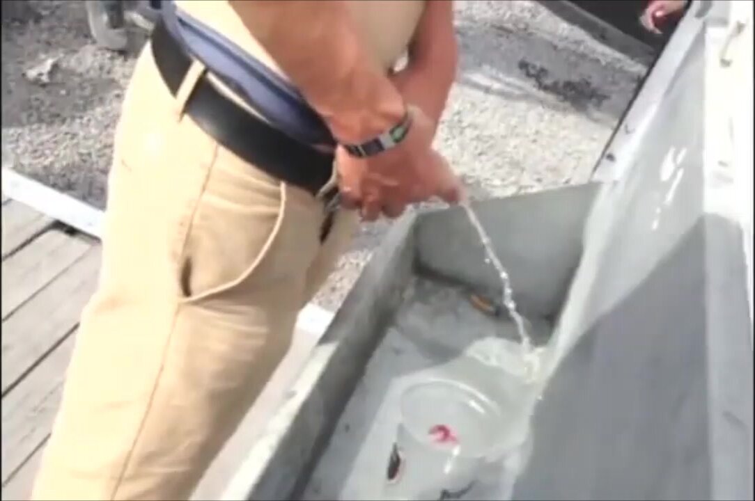pissing at the festival