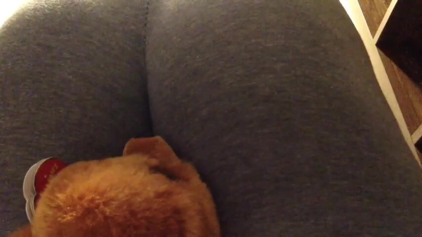 teddy gets fart smothered