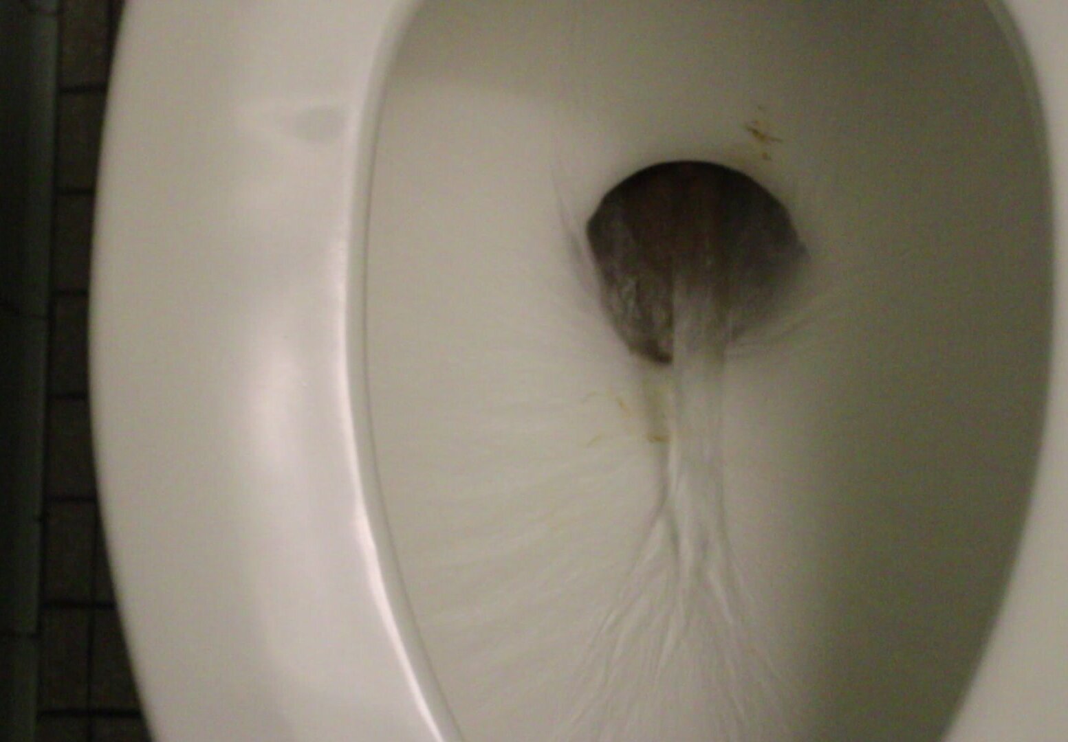 Tough turd nearly avoids being flushed