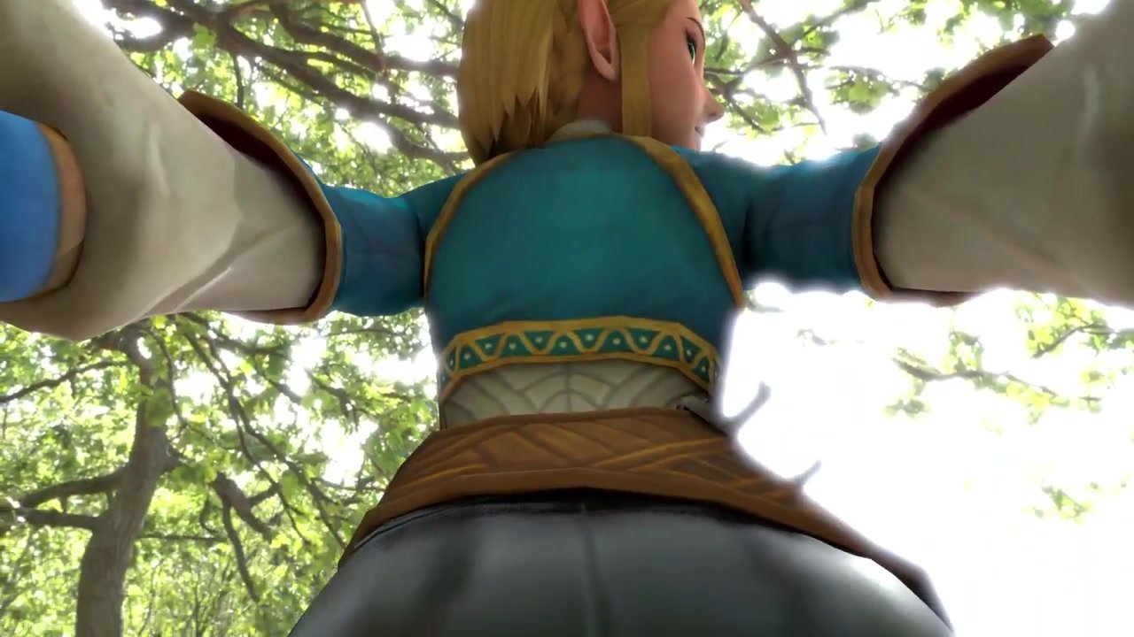 Zelda Ass Pov