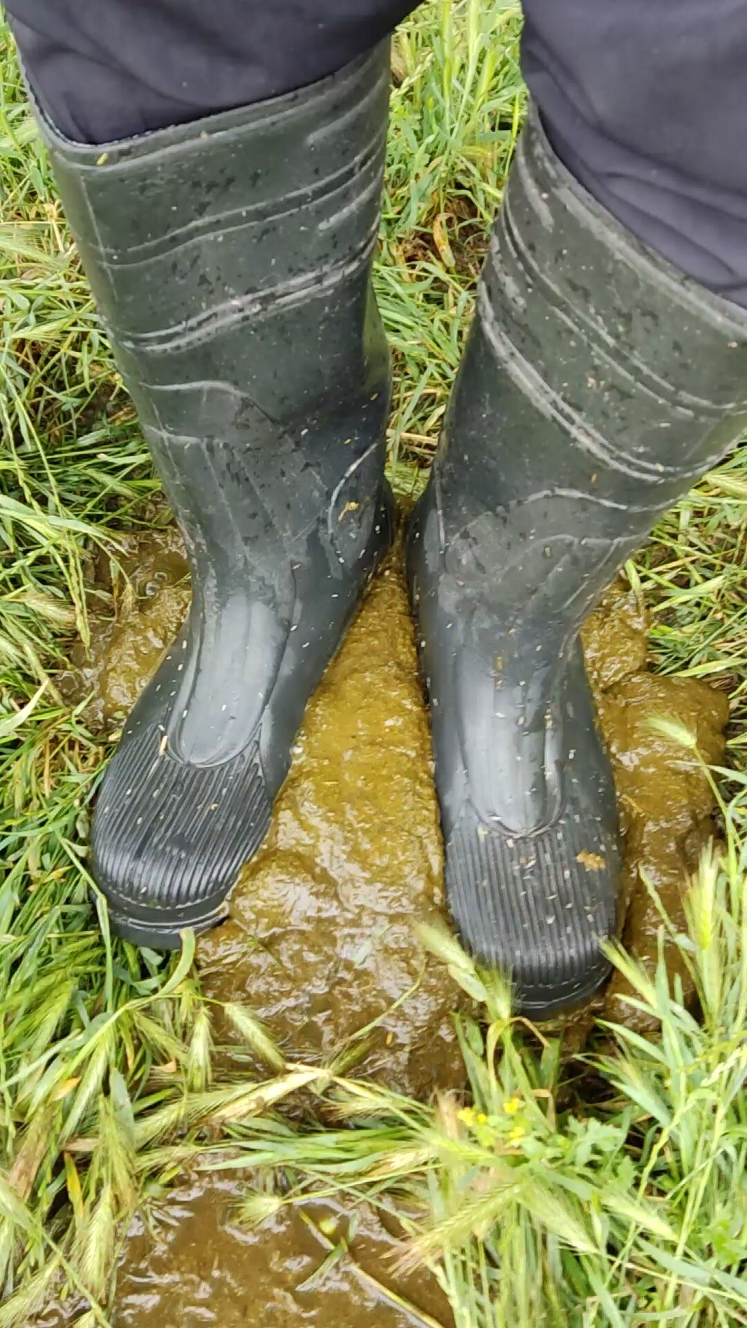 Rubber boots vs cowshit - video 41