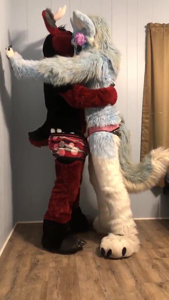 Two cute fursuiters rubbing against each other