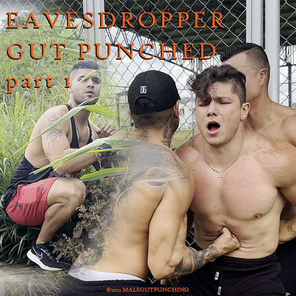 Eavesdropper Gut Punched (part 1) preview