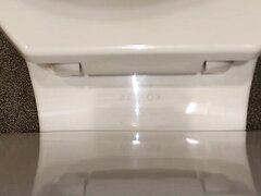 Urgent Shit in Nice Gas Station Toilet