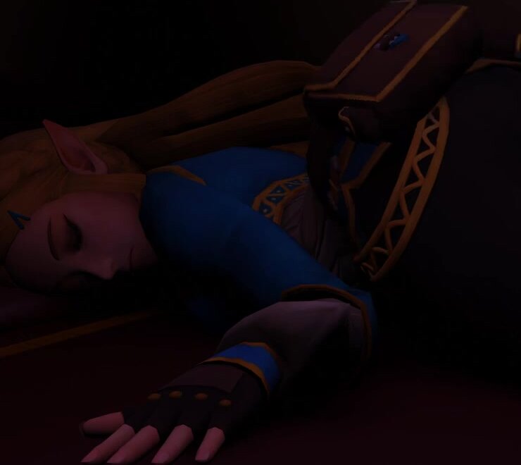 Zelda sleep farts