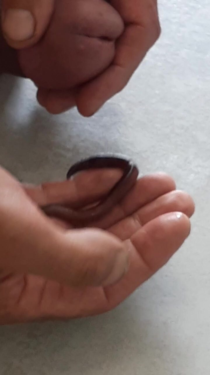 Worm play in cock