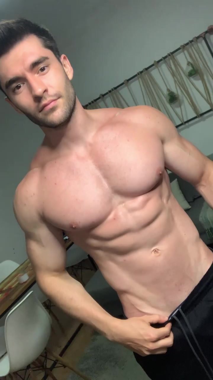 abs and pecs