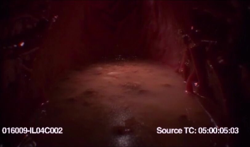 digestion - video 3