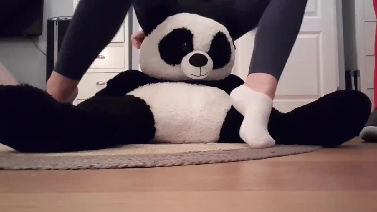 Panda trample
