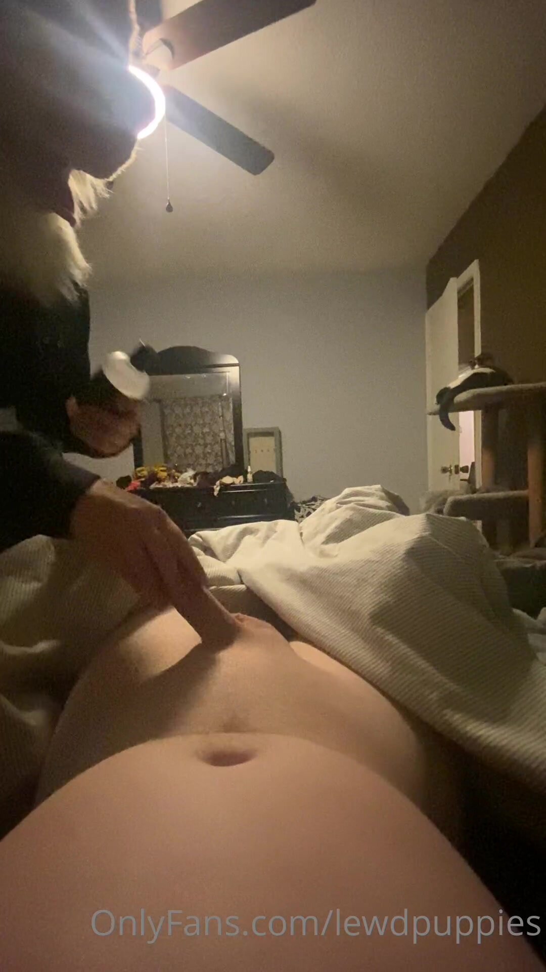 Fursuit handjob female laying on the bed