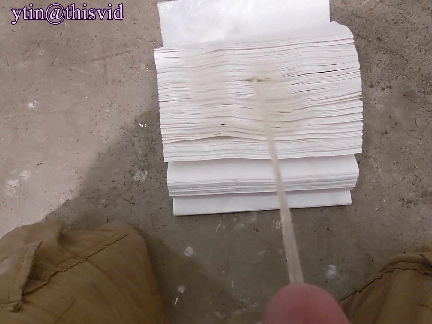 Public Restroom Paper Towel Dispenser Piss