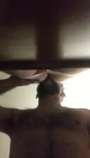Cigar daddy breeding