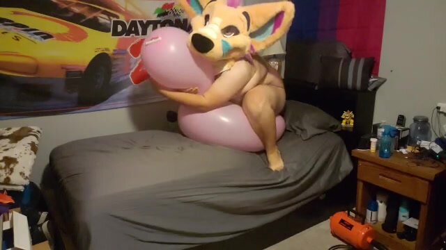 Humping a pink 32" longneck balloon in suit