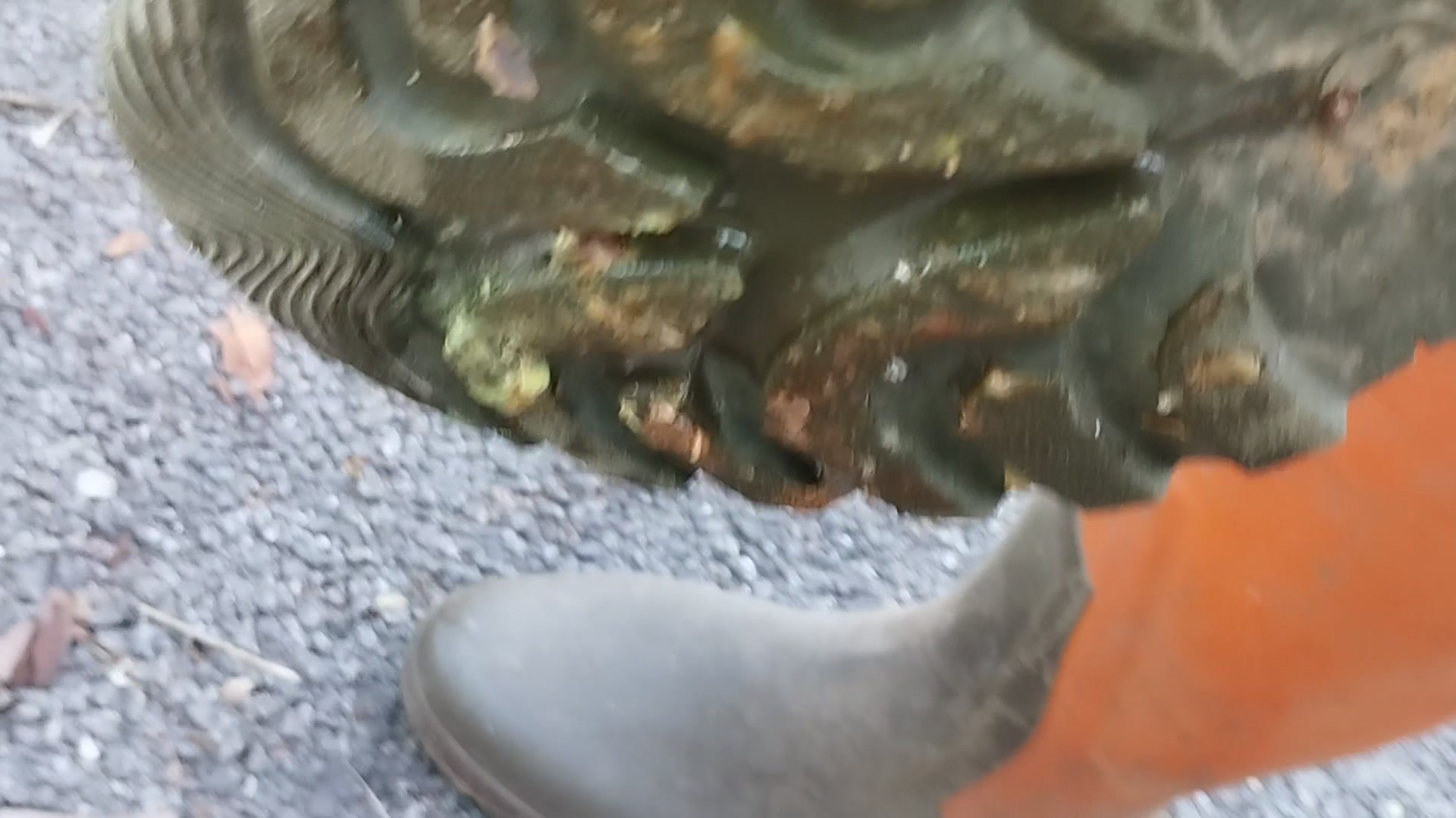 Aigle rubber boots crushing snail