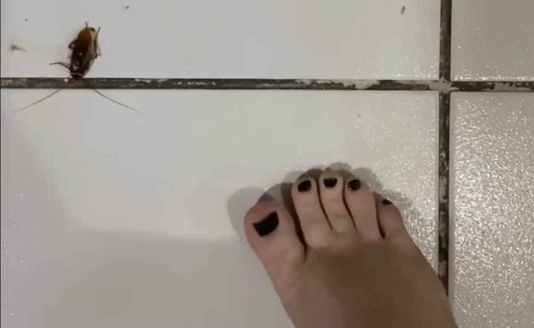 Giantess Crushing a Roach