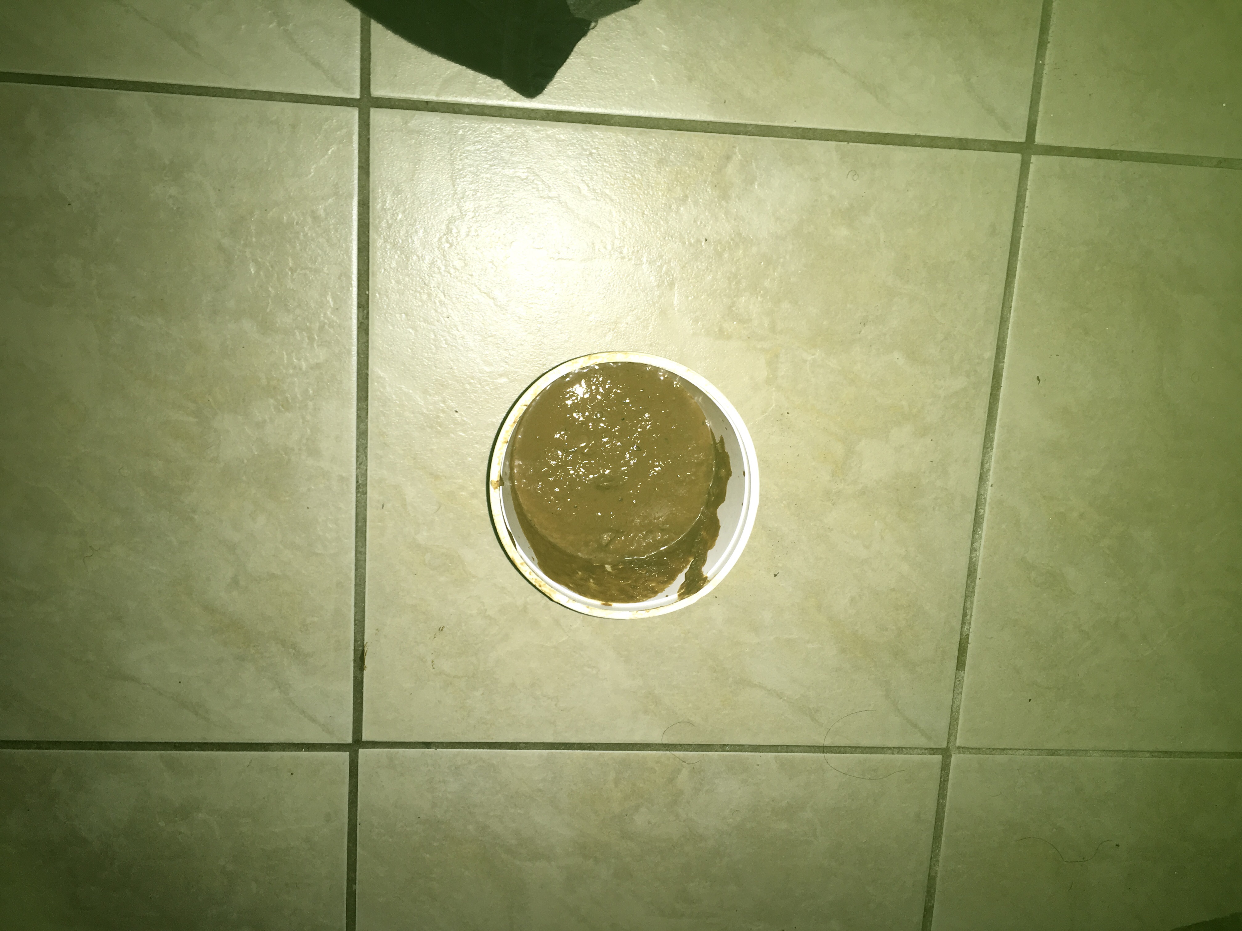 I just fell a bowl up with shit