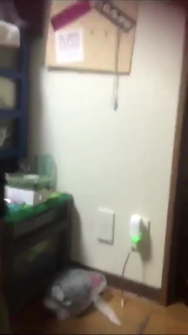 spy 1 - video 8