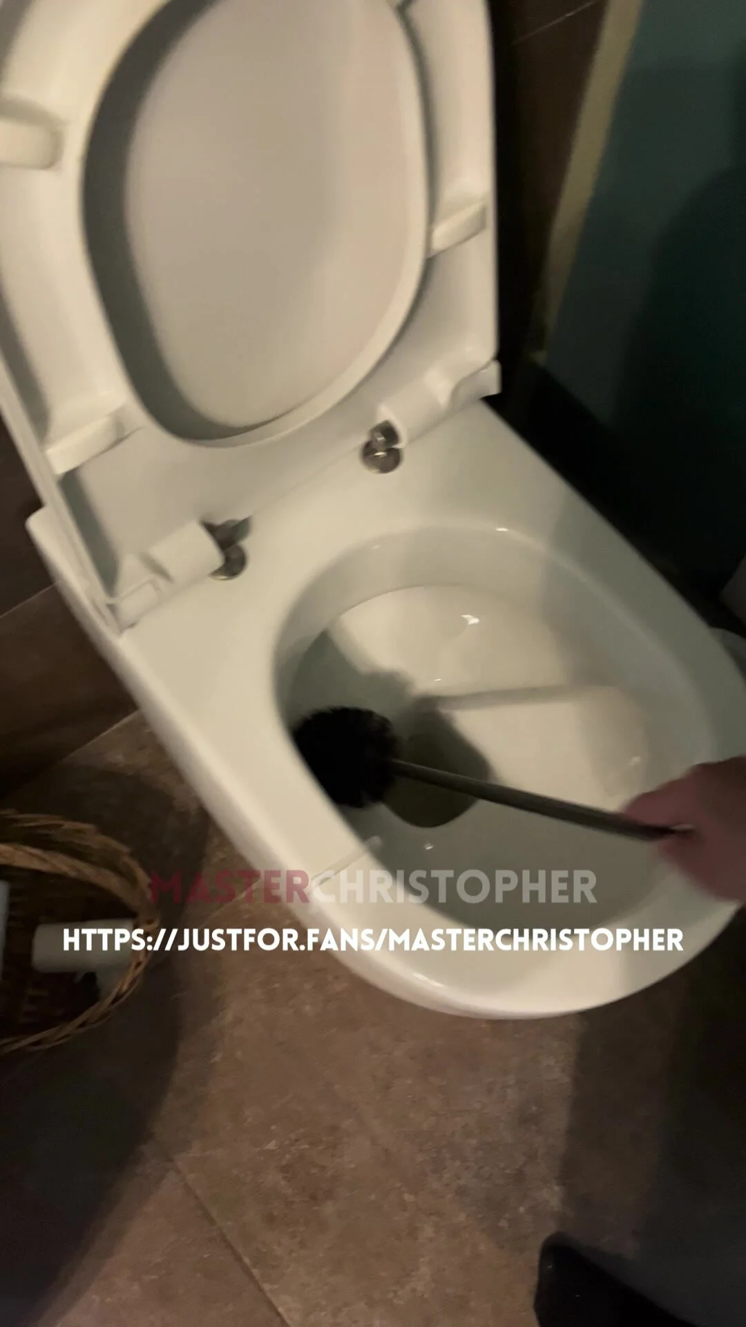 Toilet Slave sniffing shit and licking the toilet seat - ThisVid.com